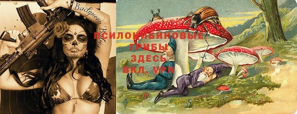 амф Баксан
