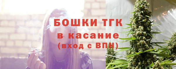 PSILOCYBIN Заводоуковск