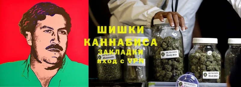 Каннабис OG Kush  Буй 